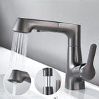 Bathroom Faucet with Pull-Out Spray Head and 360° Swivel Spout