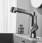 Bathroom Faucet with Pull-Out Spray Head and 360° Swivel Spout