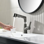 Bathroom Faucet with Pull-Out Spray Head and 360° Swivel Spout